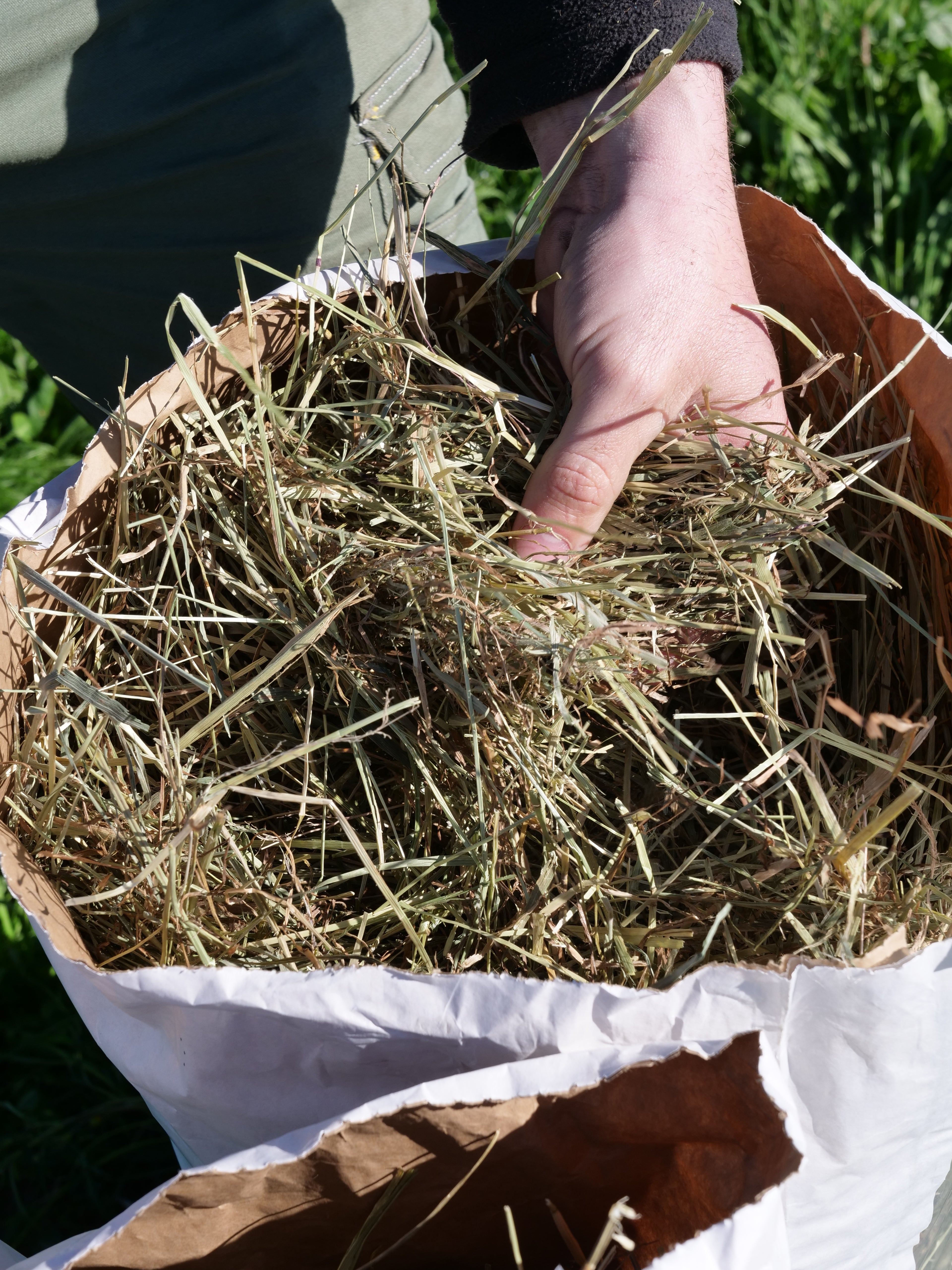 L'erba buona -1kg - Fieno naturale di Prato Canavesano per piccoli animali e caprette nane