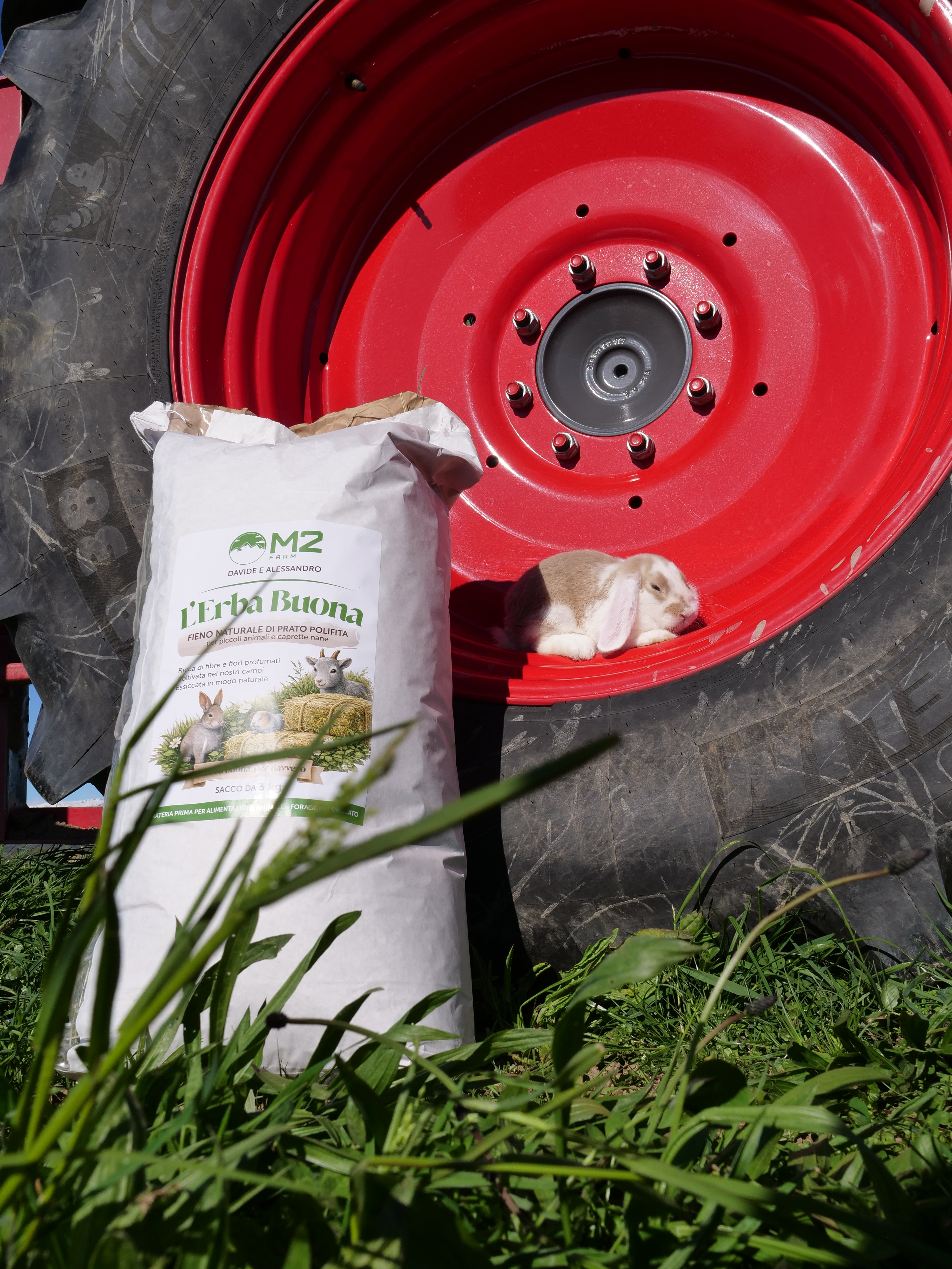 L'erba buona -1kg - Fieno naturale di Prato Canavesano per piccoli animali e caprette nane