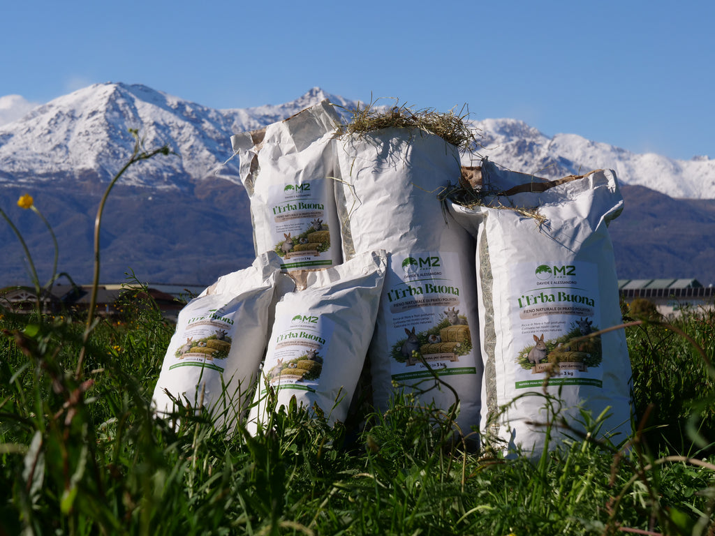 L'erba buona -1kg - Fieno naturale di Prato Canavesano per piccoli animali e caprette nane