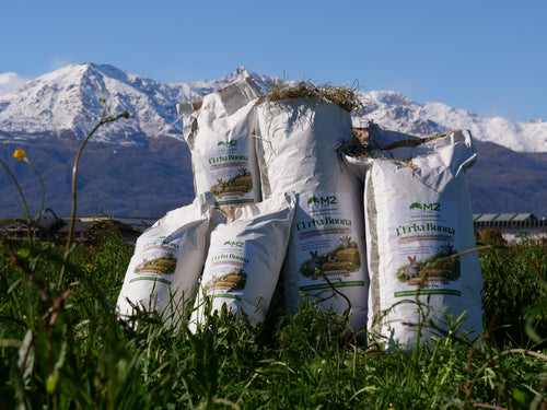 L'erba buona -1kg - Fieno naturale di Prato Canavesano per piccoli animali e caprette nane