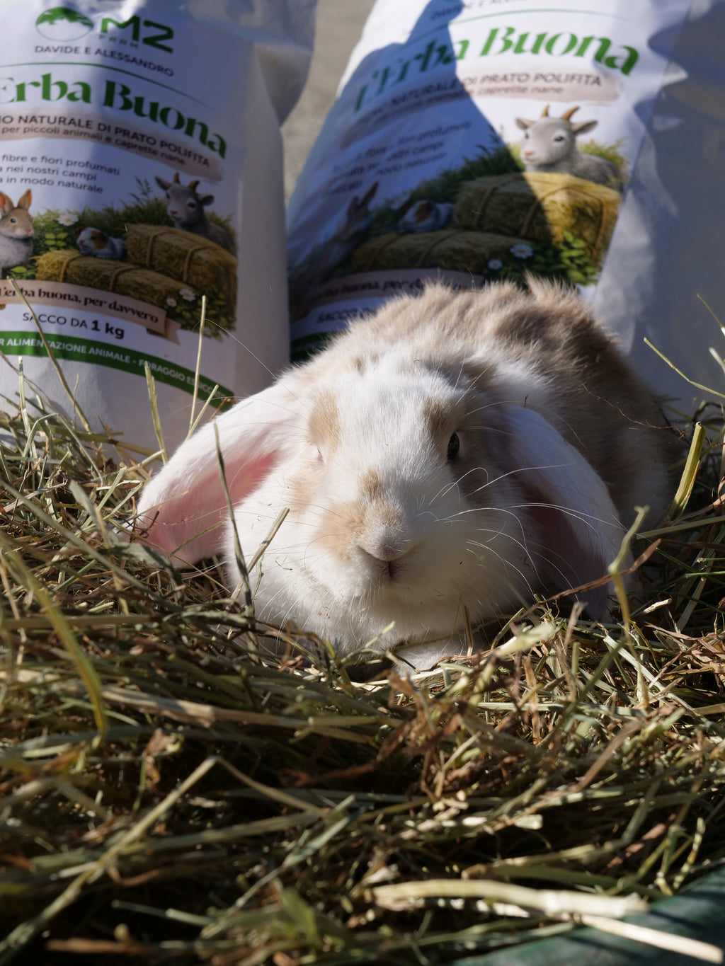 L'erba buona -3kg - Fieno naturale di Prato Canavesano per piccoli animali e caprette nane